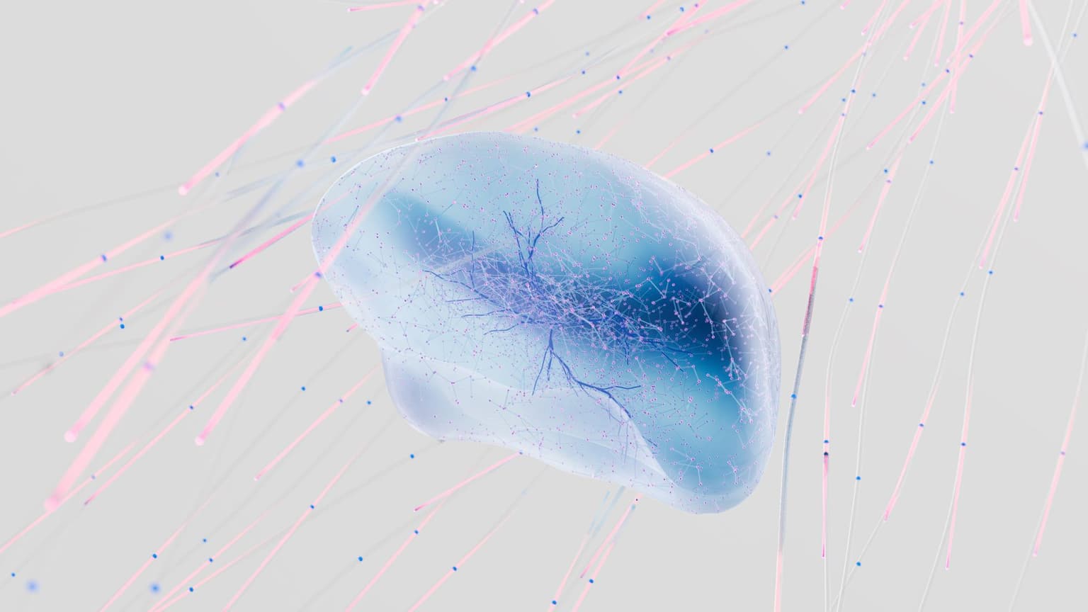 Ilustracija ljudskog mozga i neuronskih veza